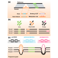 From structural pangenomes to functional panomics | Pangenomics review